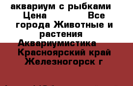 аквариум с рыбками › Цена ­ 15 000 - Все города Животные и растения » Аквариумистика   . Красноярский край,Железногорск г.